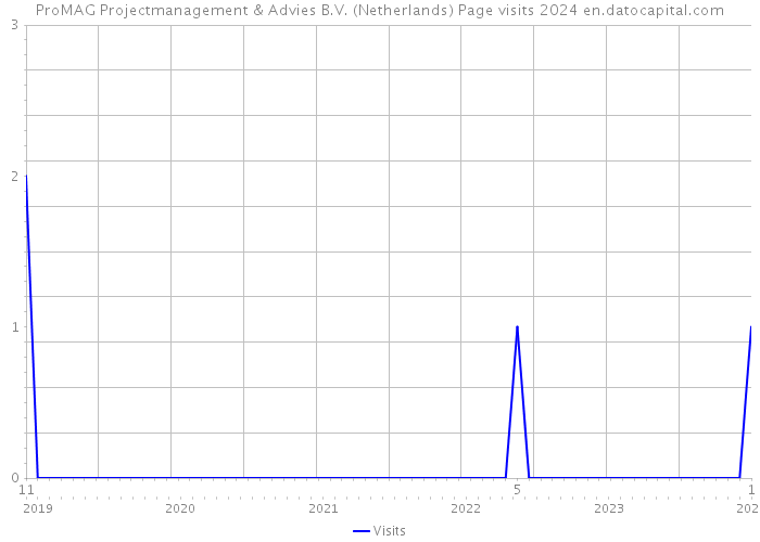 ProMAG Projectmanagement & Advies B.V. (Netherlands) Page visits 2024 