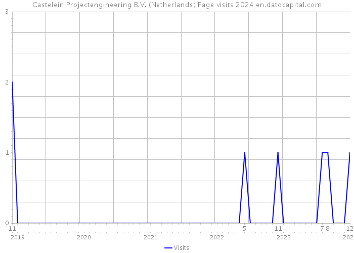 Castelein Projectengineering B.V. (Netherlands) Page visits 2024 