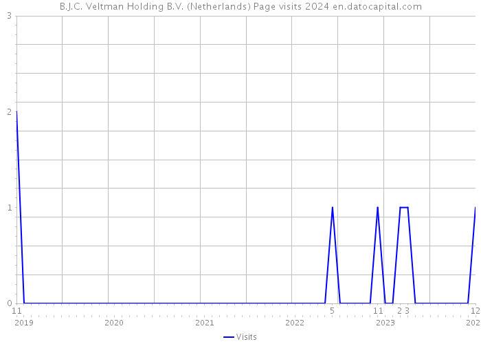 B.J.C. Veltman Holding B.V. (Netherlands) Page visits 2024 