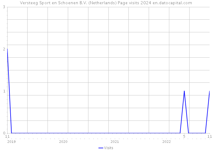 Versteeg Sport en Schoenen B.V. (Netherlands) Page visits 2024 
