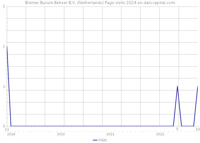 Bremer Burum Beheer B.V. (Netherlands) Page visits 2024 