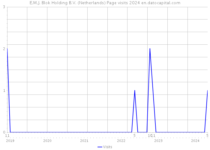 E.M.J. Blok Holding B.V. (Netherlands) Page visits 2024 