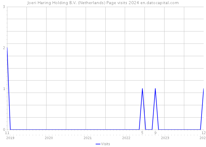 Joeri Haring Holding B.V. (Netherlands) Page visits 2024 