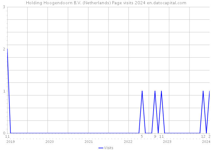 Holding Hoogendoorn B.V. (Netherlands) Page visits 2024 