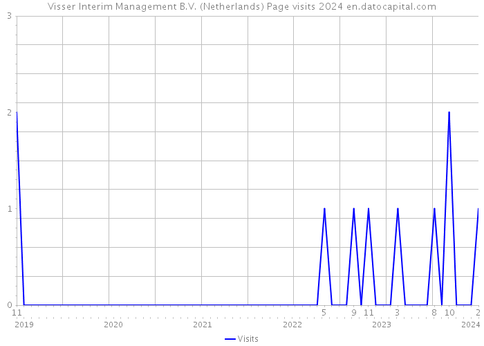 Visser Interim Management B.V. (Netherlands) Page visits 2024 