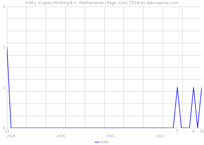 H.M.J. Vogten Holding B.V. (Netherlands) Page visits 2024 