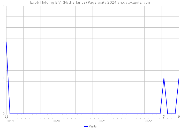 Jacob Holding B.V. (Netherlands) Page visits 2024 