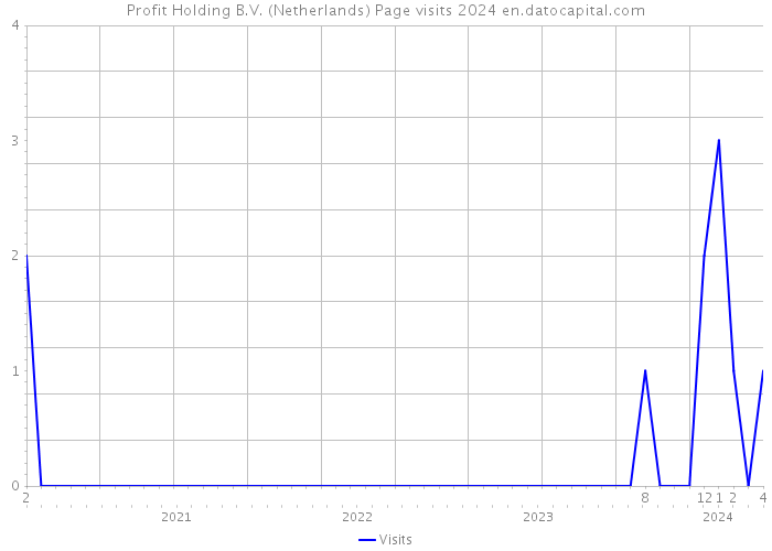 Profit Holding B.V. (Netherlands) Page visits 2024 