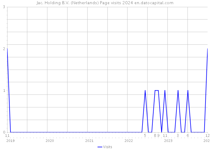 Jac. Holding B.V. (Netherlands) Page visits 2024 