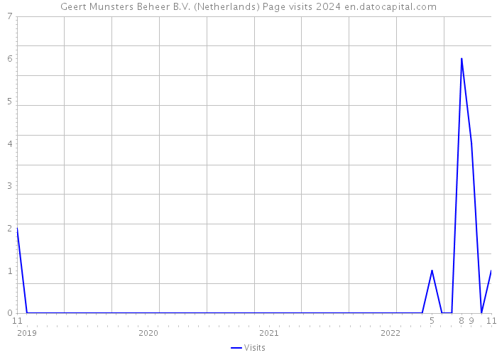 Geert Munsters Beheer B.V. (Netherlands) Page visits 2024 