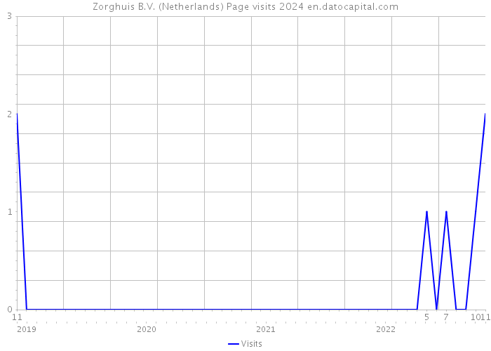 Zorghuis B.V. (Netherlands) Page visits 2024 