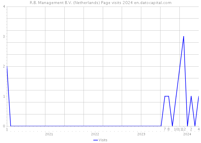R.B. Management B.V. (Netherlands) Page visits 2024 