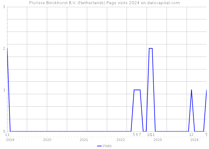 Florisse Binckhorst B.V. (Netherlands) Page visits 2024 