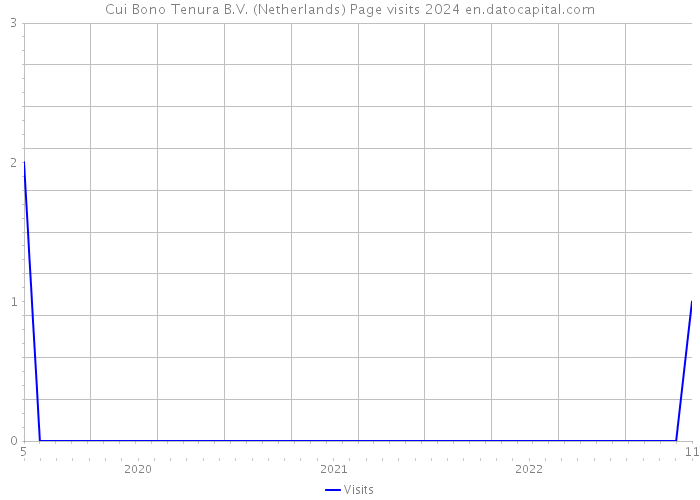 Cui Bono Tenura B.V. (Netherlands) Page visits 2024 