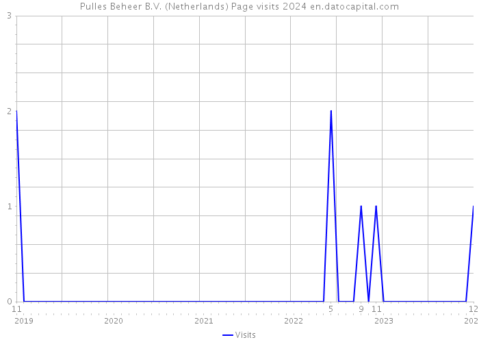 Pulles Beheer B.V. (Netherlands) Page visits 2024 