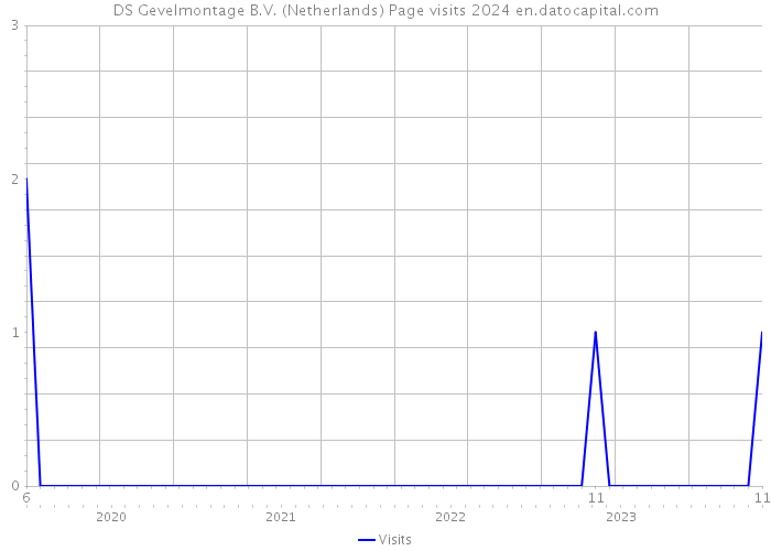 DS Gevelmontage B.V. (Netherlands) Page visits 2024 