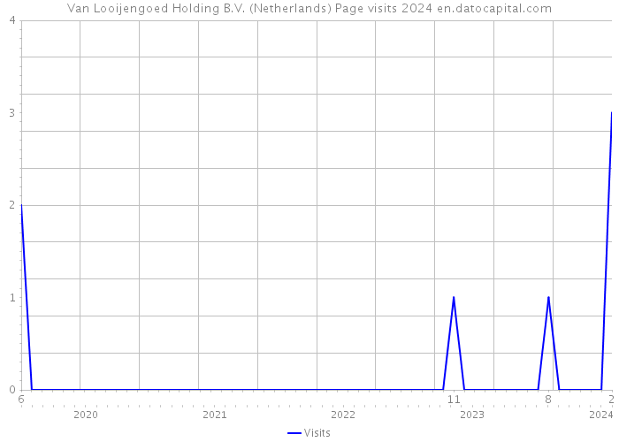Van Looijengoed Holding B.V. (Netherlands) Page visits 2024 