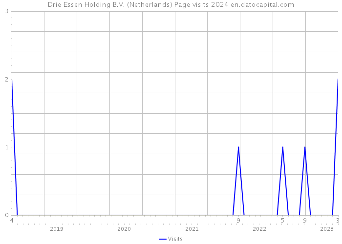Drie Essen Holding B.V. (Netherlands) Page visits 2024 