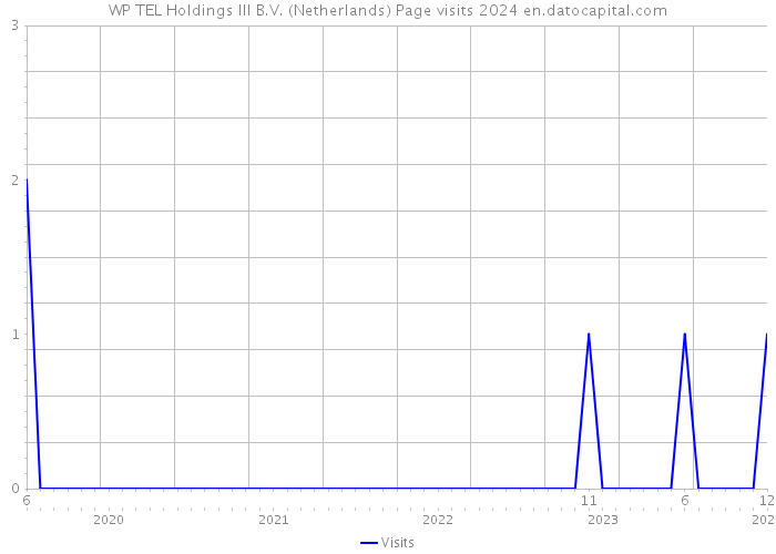 WP TEL Holdings III B.V. (Netherlands) Page visits 2024 