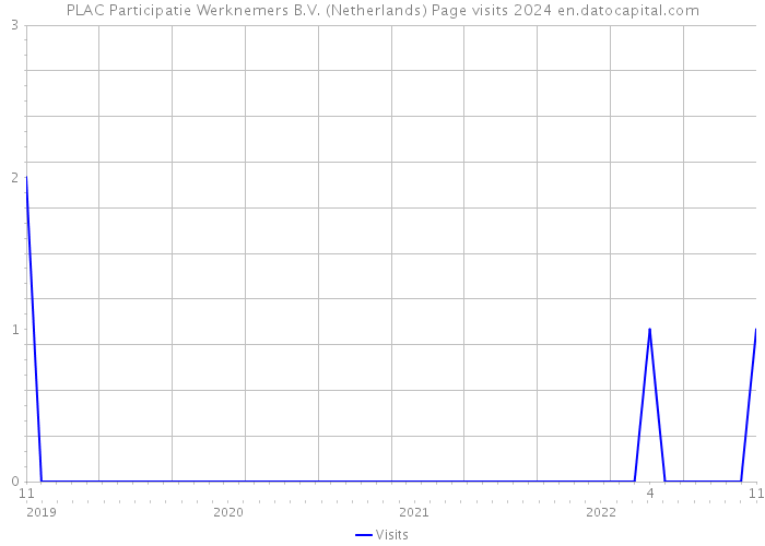 PLAC Participatie Werknemers B.V. (Netherlands) Page visits 2024 