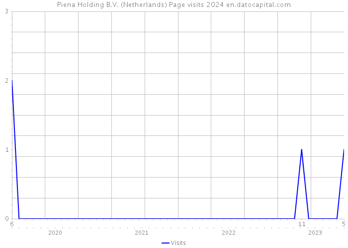 Piena Holding B.V. (Netherlands) Page visits 2024 
