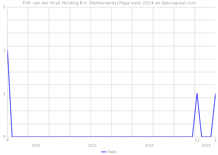 P.M. van der Hoek Holding B.V. (Netherlands) Page visits 2024 