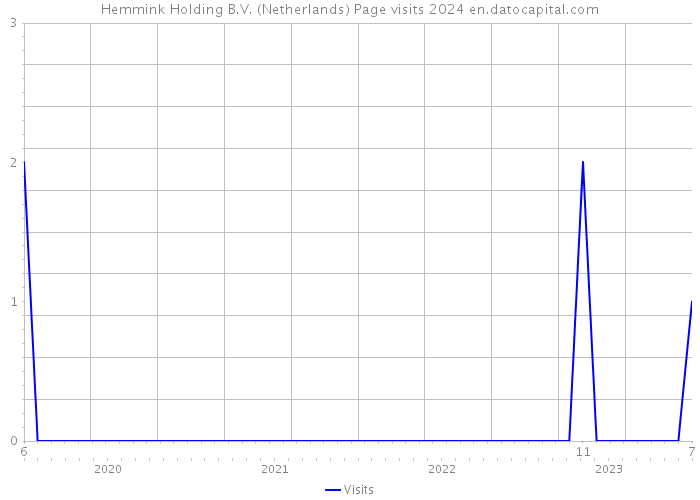 Hemmink Holding B.V. (Netherlands) Page visits 2024 