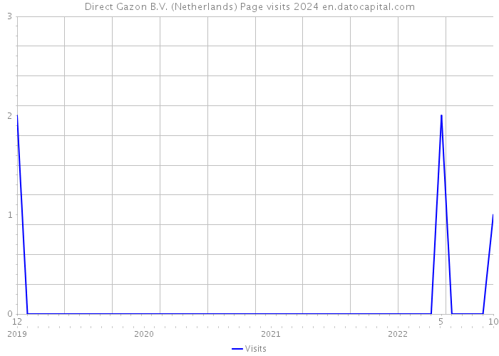 Direct Gazon B.V. (Netherlands) Page visits 2024 