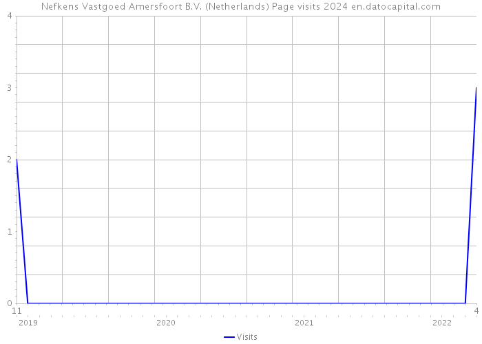 Nefkens Vastgoed Amersfoort B.V. (Netherlands) Page visits 2024 
