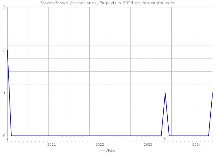Steven Brown (Netherlands) Page visits 2024 