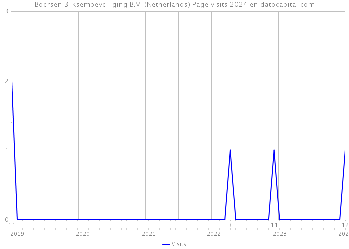 Boersen Bliksembeveiliging B.V. (Netherlands) Page visits 2024 