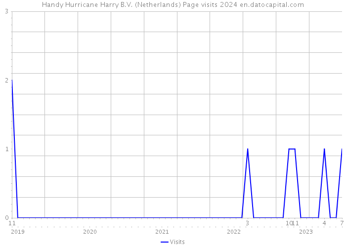 Handy Hurricane Harry B.V. (Netherlands) Page visits 2024 