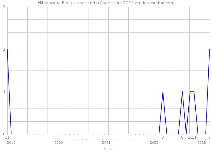 Hildebrand B.V. (Netherlands) Page visits 2024 