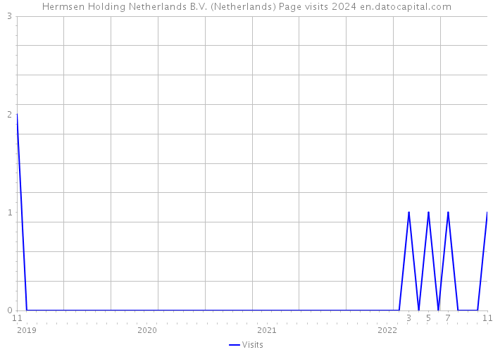 Hermsen Holding Netherlands B.V. (Netherlands) Page visits 2024 