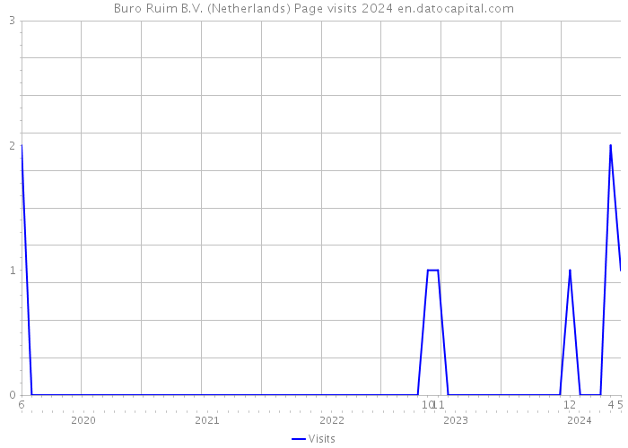Buro Ruim B.V. (Netherlands) Page visits 2024 