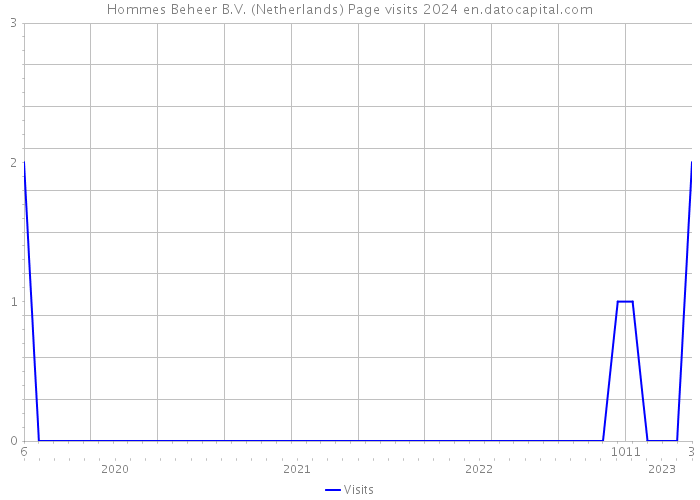 Hommes Beheer B.V. (Netherlands) Page visits 2024 
