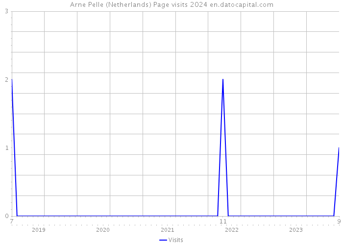 Arne Pelle (Netherlands) Page visits 2024 
