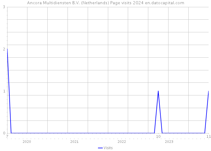 Ancora Multidiensten B.V. (Netherlands) Page visits 2024 