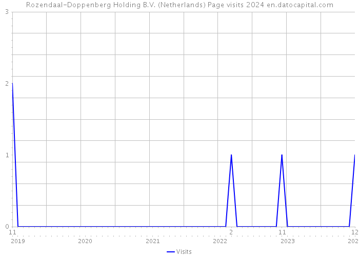 Rozendaal-Doppenberg Holding B.V. (Netherlands) Page visits 2024 