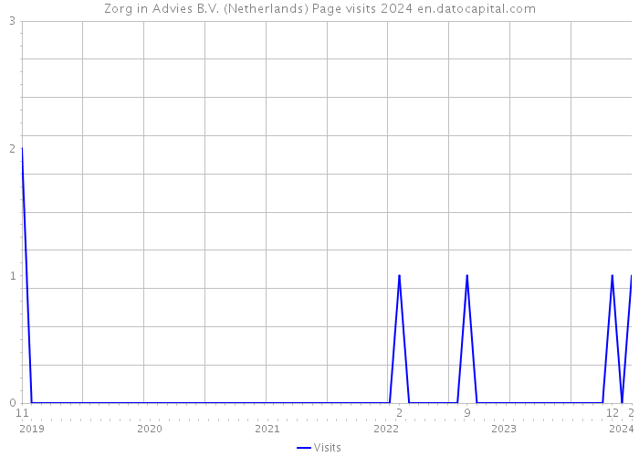 Zorg in Advies B.V. (Netherlands) Page visits 2024 
