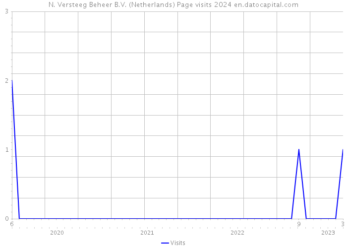 N. Versteeg Beheer B.V. (Netherlands) Page visits 2024 