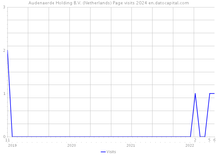 Audenaerde Holding B.V. (Netherlands) Page visits 2024 