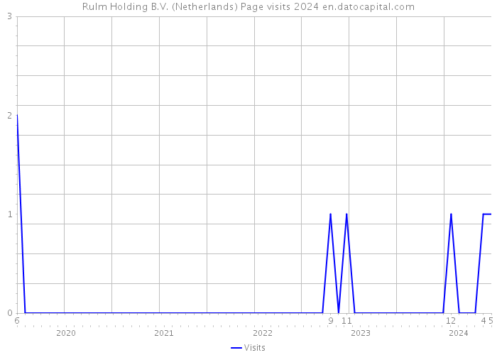 RuIm Holding B.V. (Netherlands) Page visits 2024 
