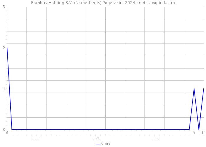 Bombus Holding B.V. (Netherlands) Page visits 2024 