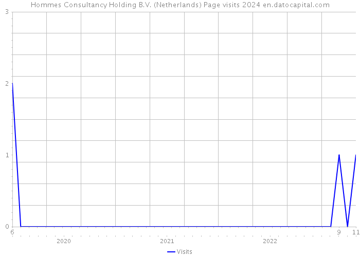 Hommes Consultancy Holding B.V. (Netherlands) Page visits 2024 
