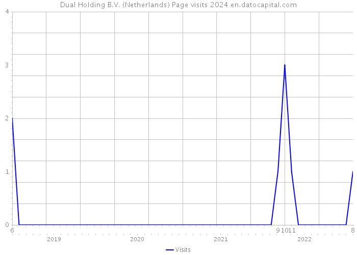 Dual Holding B.V. (Netherlands) Page visits 2024 