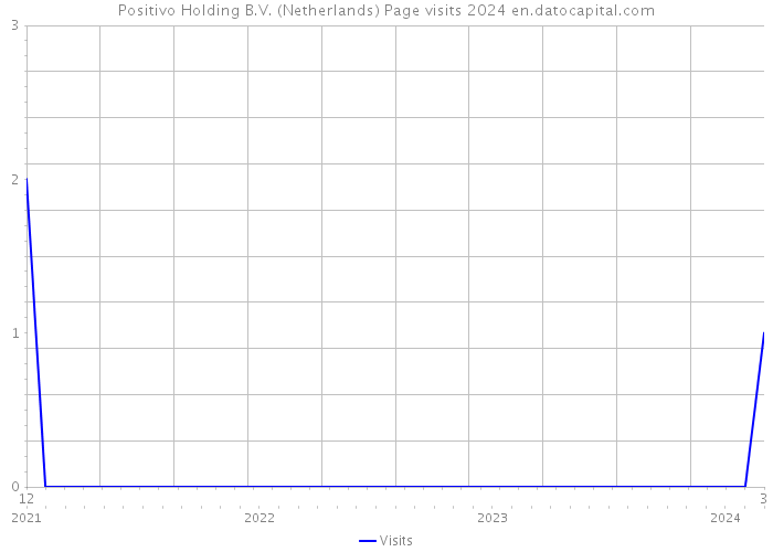 Positivo Holding B.V. (Netherlands) Page visits 2024 