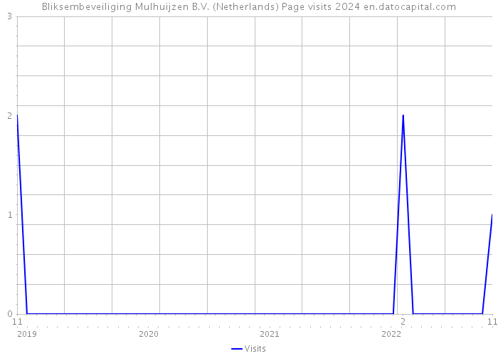 Bliksembeveiliging Mulhuijzen B.V. (Netherlands) Page visits 2024 