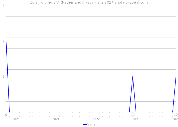 Zoje Holding B.V. (Netherlands) Page visits 2024 