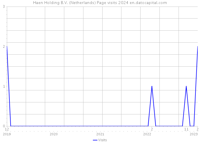 Haen Holding B.V. (Netherlands) Page visits 2024 